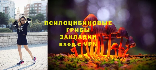 мескалин Осташков