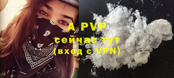 дурь Дубна