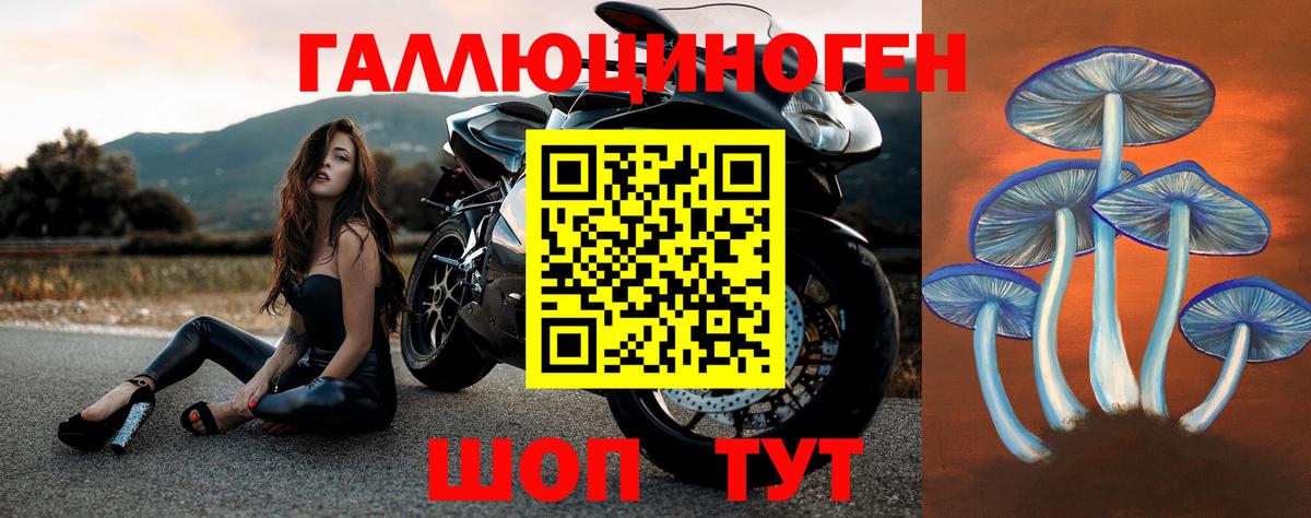 Стрежевой  Галлюциногенные грибы прущие грибы  Вход с VPN 