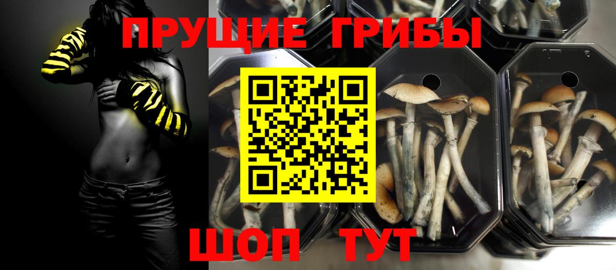 Галлюциногенные грибы GOLDEN TEACHER Стрежевой
